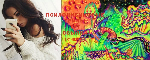 первитин Горнозаводск