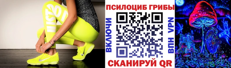Псилоцибиновые грибы Psilocybine cubensis  OMG рабочий сайт  Дятьково 