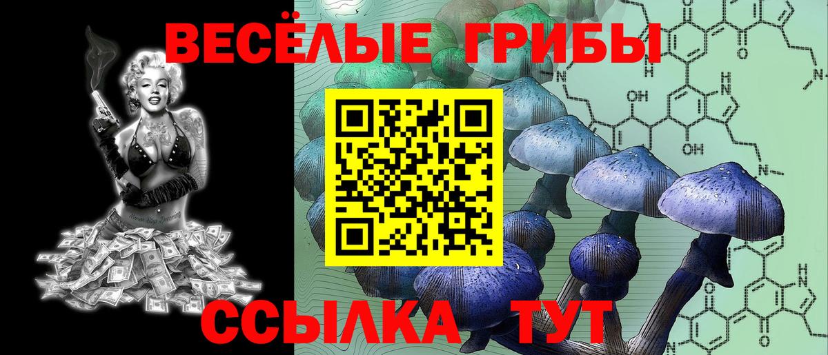 Дятьково  Псилоцибиновые грибы ЛСД  Вход с VPN  Псилоцибиновые грибы Psilocybe 