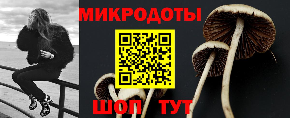 Псилоцибиновые грибы мухоморы Дятьково